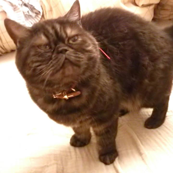 58de04ca 2d5a 4ec5 893b a79c0815343d