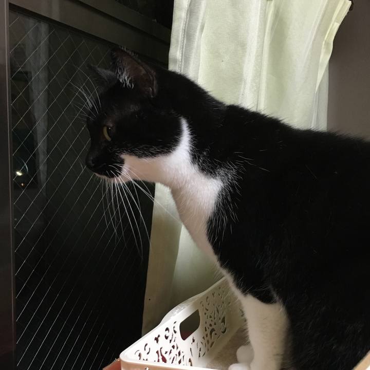 58dede41 4bad 4991 b359 5ee7dde738b3