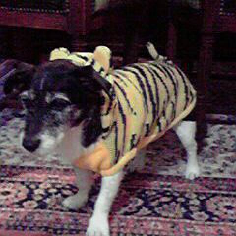 58df467c 9815 42c0 af04 9d340209fa4d