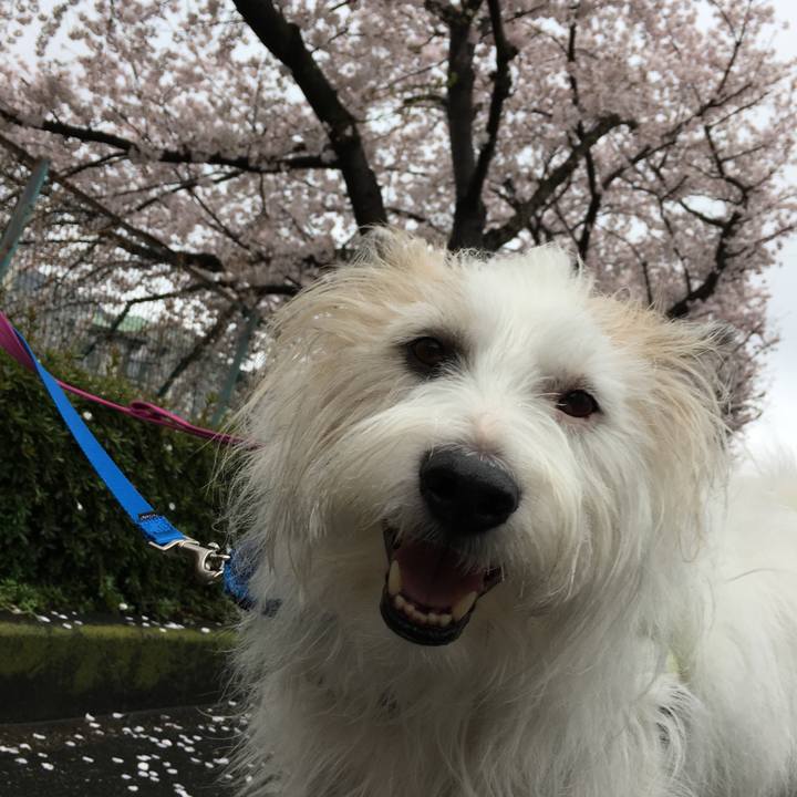 58df8eab 88af 42d2 943c 24de7c847f63