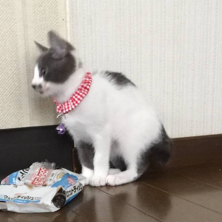 58df9b8a 0f5e 45c9 b575 fab691834814