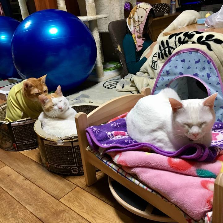 58e00831 e580 4065 8b53 42f7080c99b8