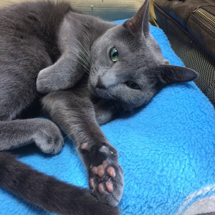 58e01604 62ad 4610 8622 3570c72df9c3