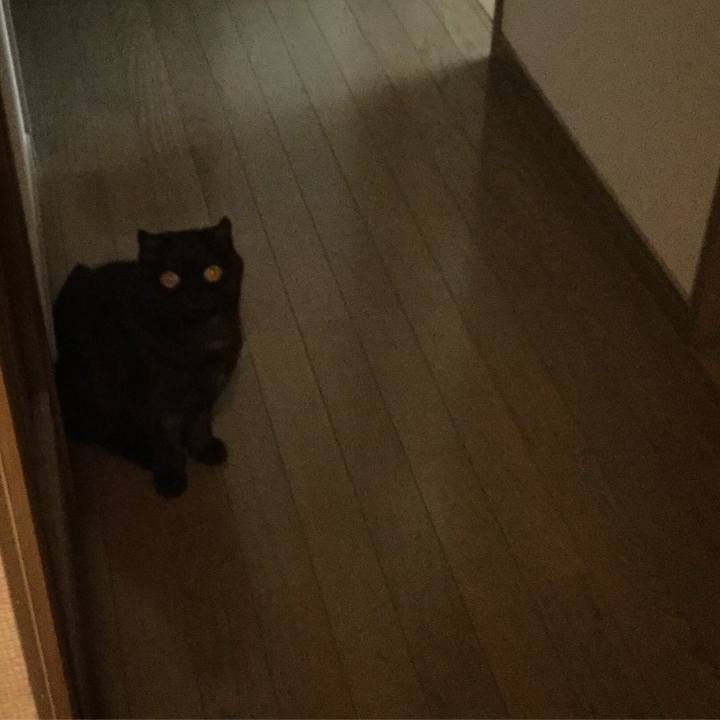 58e05439 33f9 48ee 87f7 1851feeb1fdd