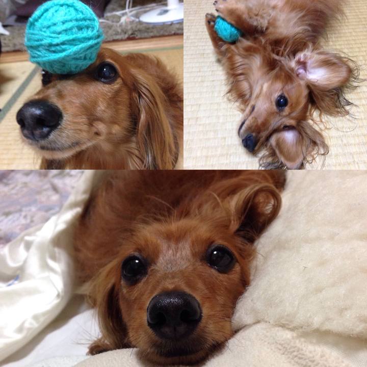 58e06b45 c364 4804 9fb3 da9ab4384e39