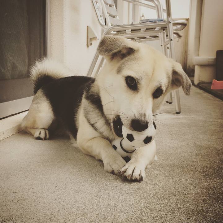 58e10e7d 7506 4a7e 8e8d fd9b0d039032