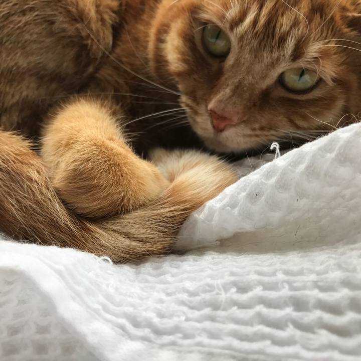 58e13d92 60ec 4d5b 94e6 56348e9201c0