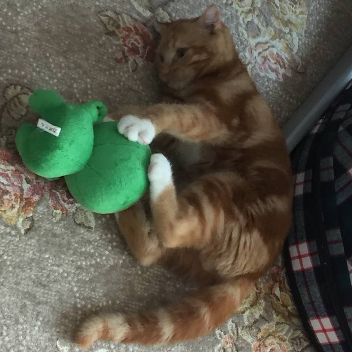 58e19d32 94fc 44d8 92e6 ef16d6df1e92