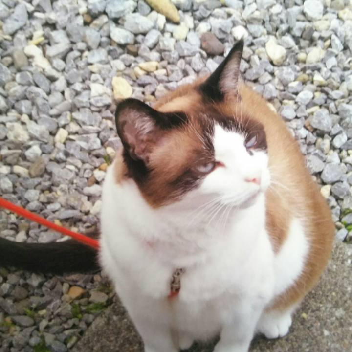 58e203b3 9cd3 42c8 beaa 87ecd3fff460