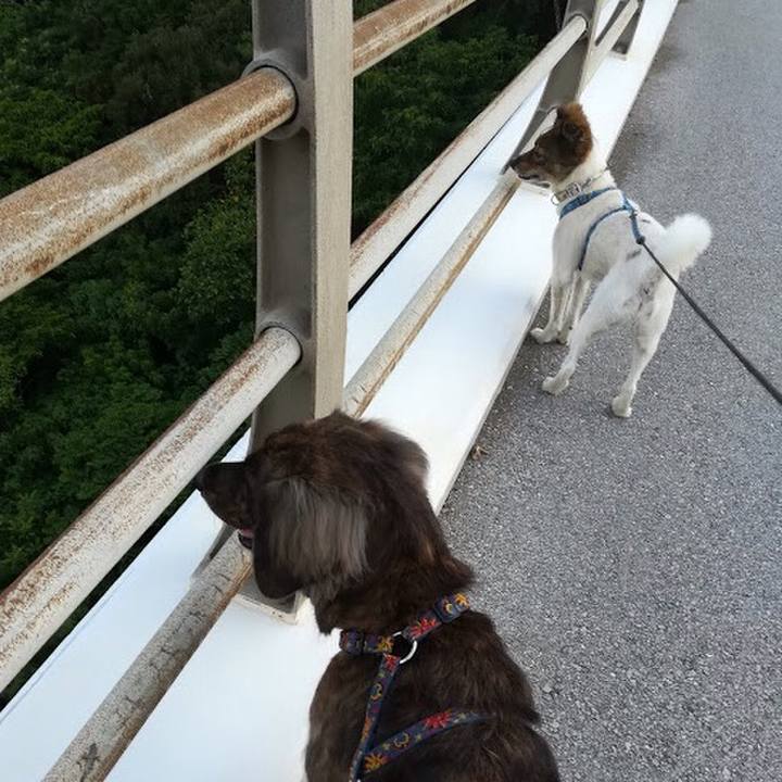 58e2f506 0573 4568 bb42 8390cb96b445