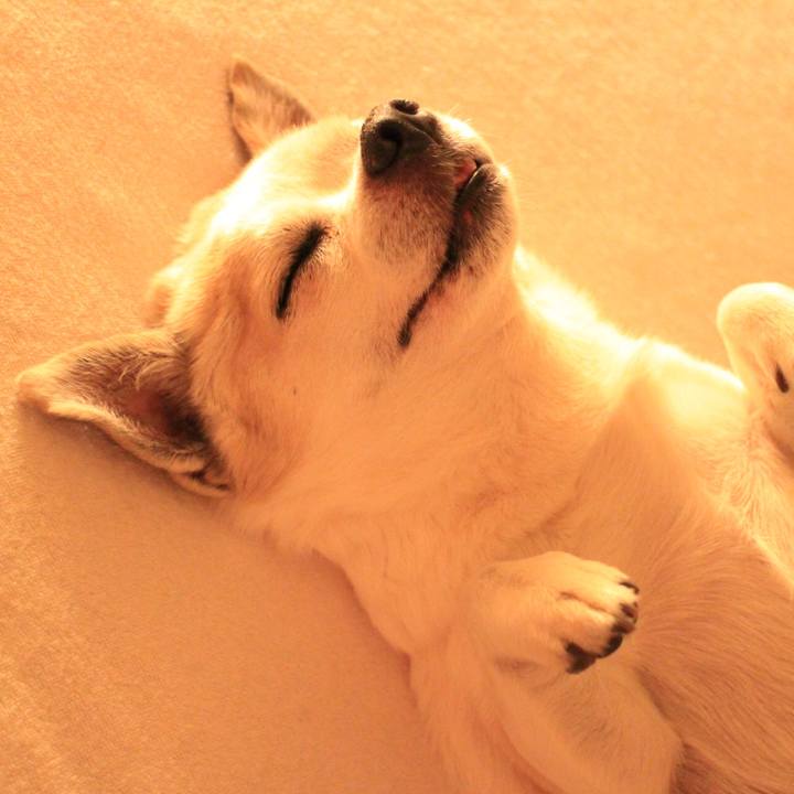 58e38b89 5832 401e a1c8 ca99f36ab336