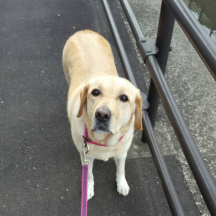 58e3be7a 16b4 4818 843d 8d2c7ed66d56