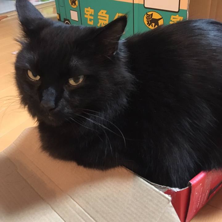 58e3d2db 6ea7 4309 8176 2f0f22e58ece