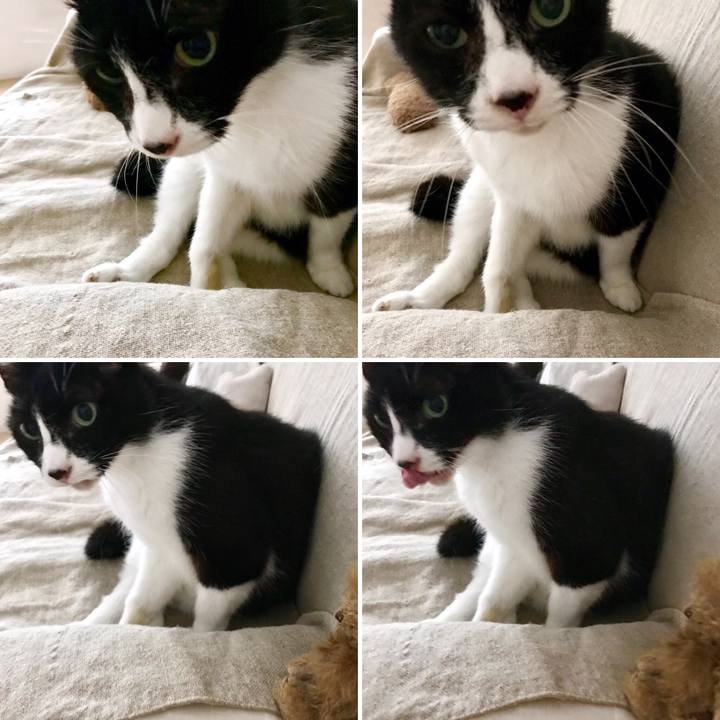 58e412fb 3356 41c8 b2b2 a03eb5186648