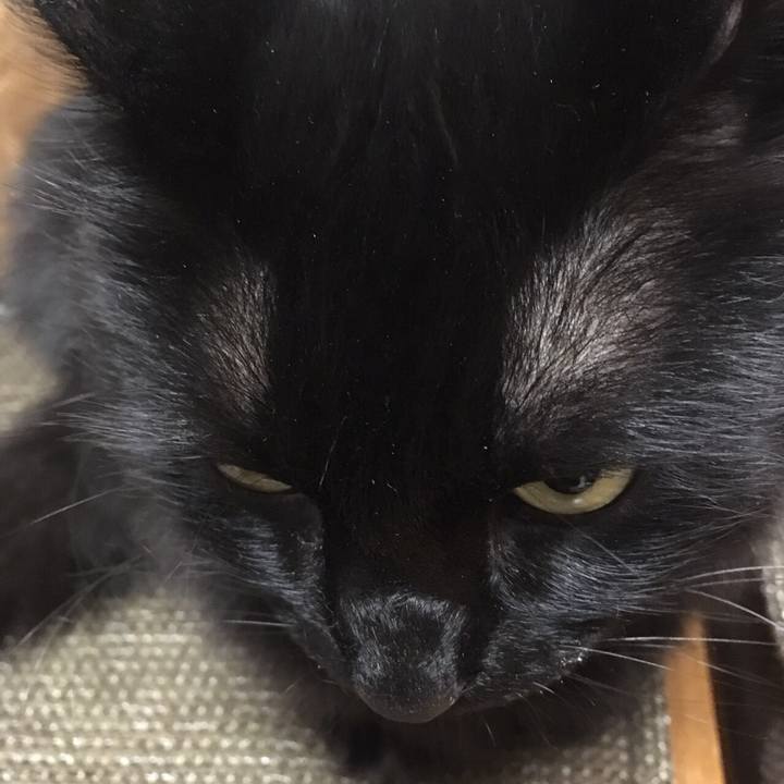 58e41da3 9cca 4ada a2b6 bebd80edb6e6