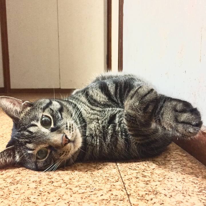 58e426e0 f589 4c62 9523 250bfa8399b3