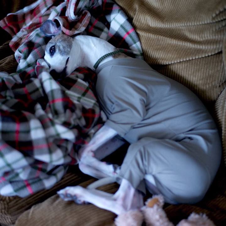 58e4724c 688f 4bf5 9c11 688fa588ea00