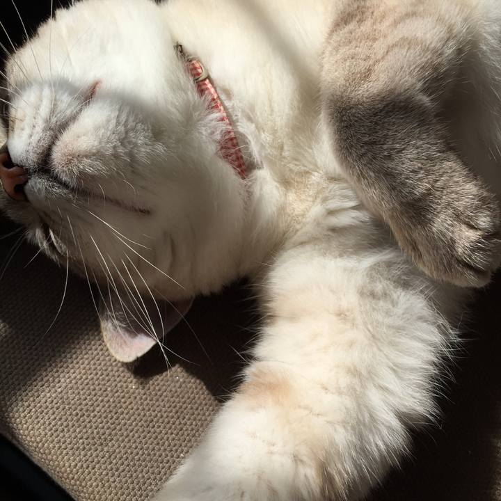 58e4b287 f2be 4145 9651 943e604d599d