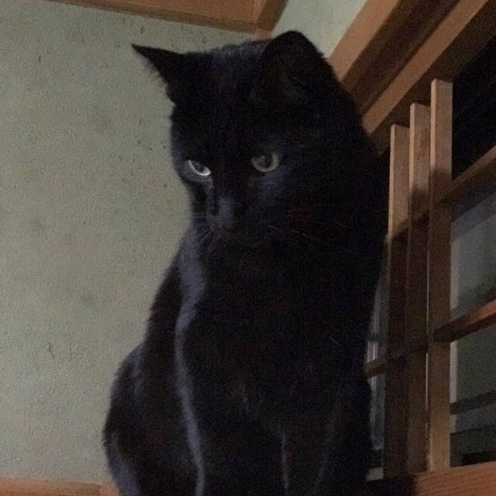 58e4b35b 96a6 459d abea 213102beb087