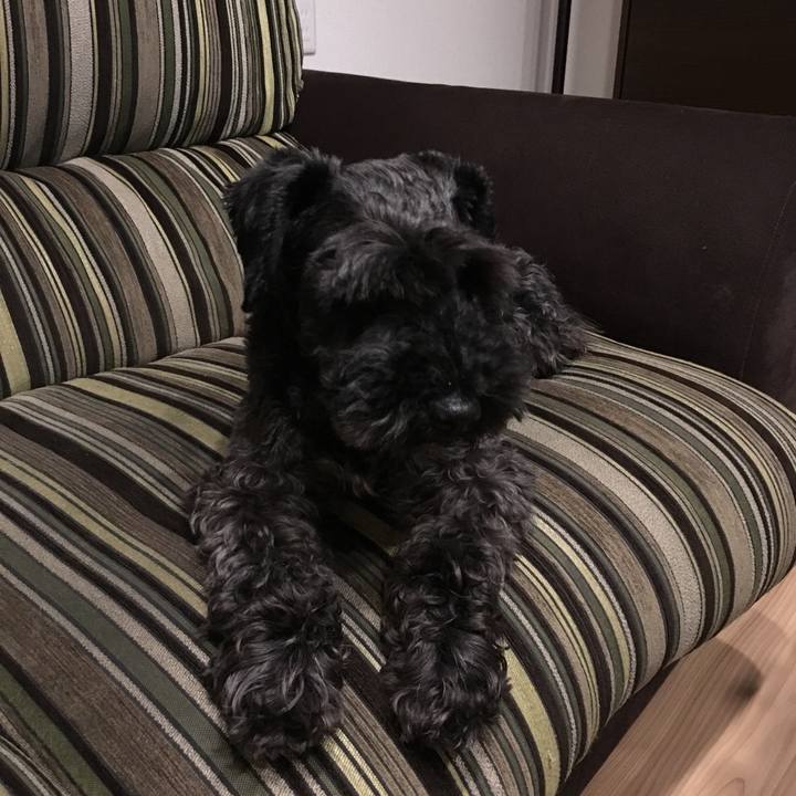 58e4bbff b2f9 45e9 9973 2c99a6368cce