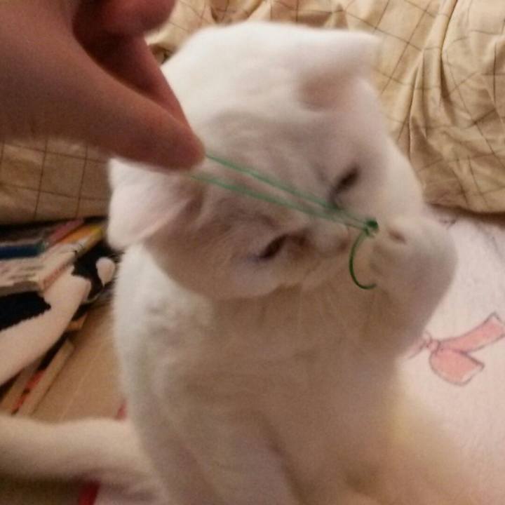 58e511f3 68a3 461d b84b f43f476ad8d4