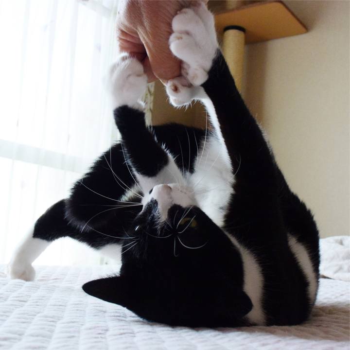 58e526ab 11cb 4b6b 871c ad47f4215b07