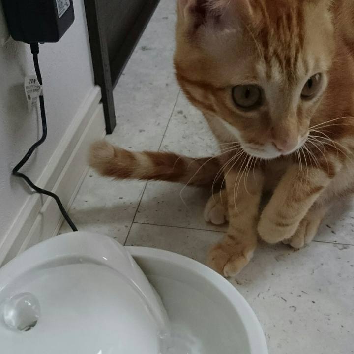 58e66871 3217 4ed0 87ee 5e800cedf20e