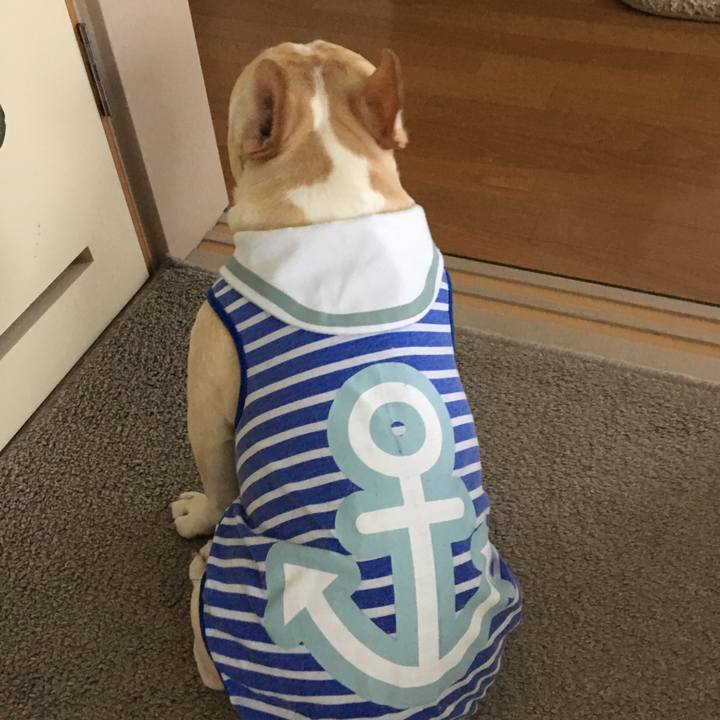 58e671d0 f4ff 4f29 970f 7a950f34fc43