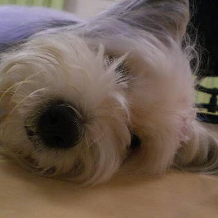 58e6a4b0 c05a 4097 b22d 796bde654d39