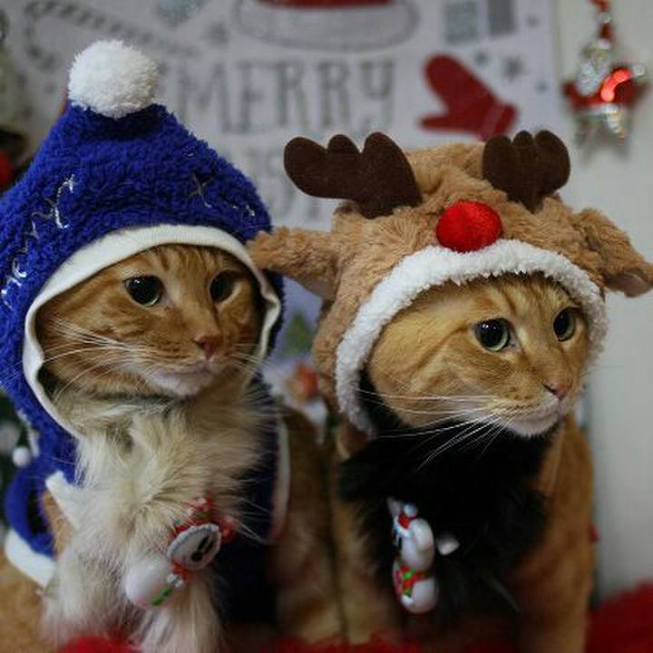 58e752b5 110f 410c 9c96 1281d16935d3