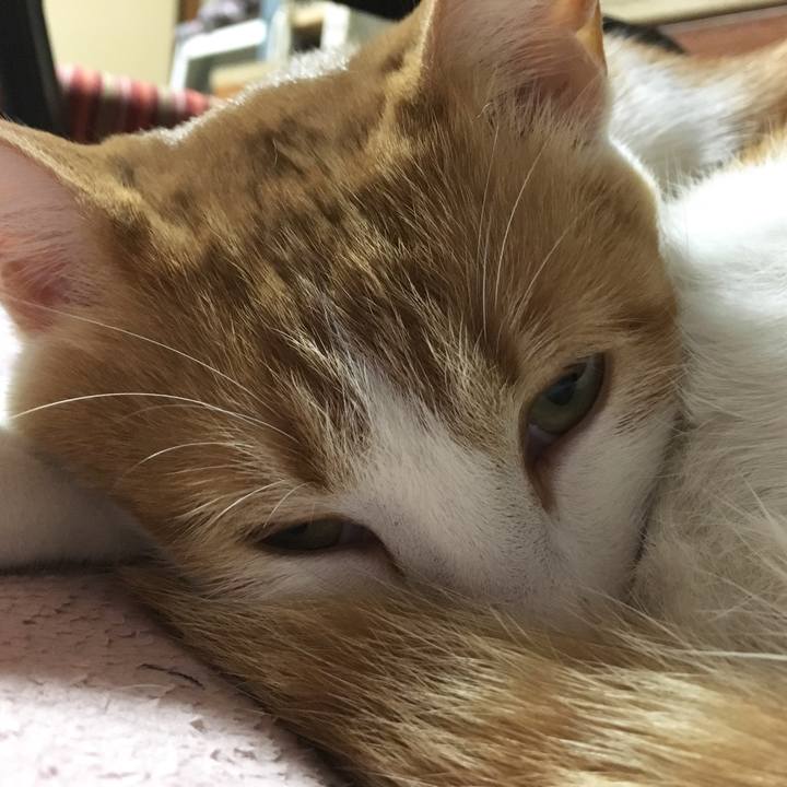 58e784d1 ba0d 42bf 874d 207ac047bf82