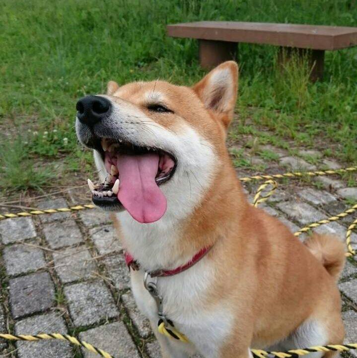 58e79045 0344 455c bb13 dfa790d92cb8