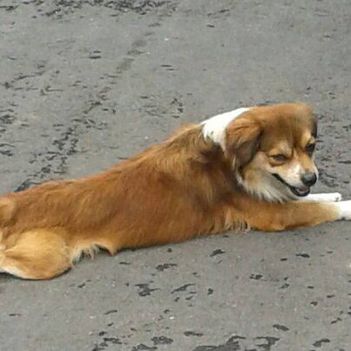 58e80b22 d6e6 4d7e 8bdb 78d8b9052535