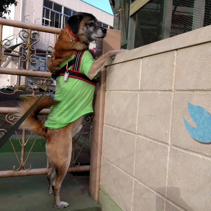 58e82f79 3c64 4eb7 b38d c41525714c21