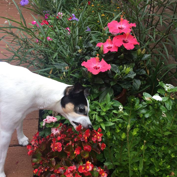 58e849ca 9998 4ac0 903f 2ed8a9762316