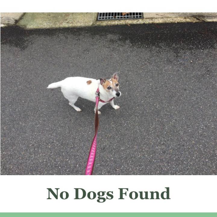 58e8754d 22e1 4057 bf7e 03ca2f23c125