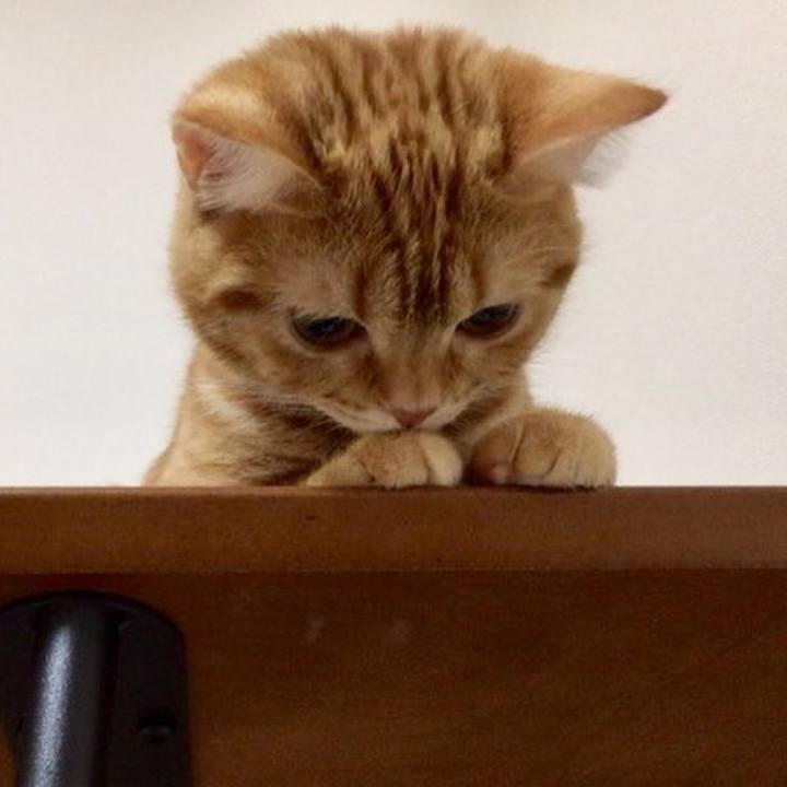 58e89ea8 1435 45dd a705 082bb5df7da1