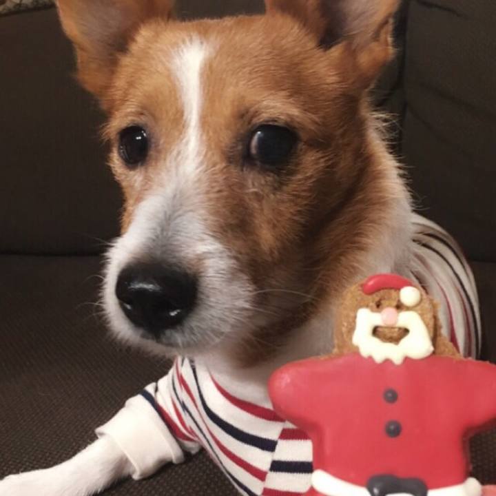 58e9006a cc67 42c8 a6b8 50279667f680