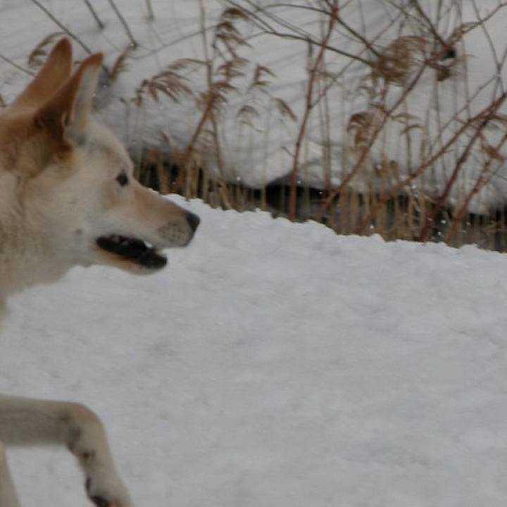 58e95181 2aae 486e 8421 8c031c322294