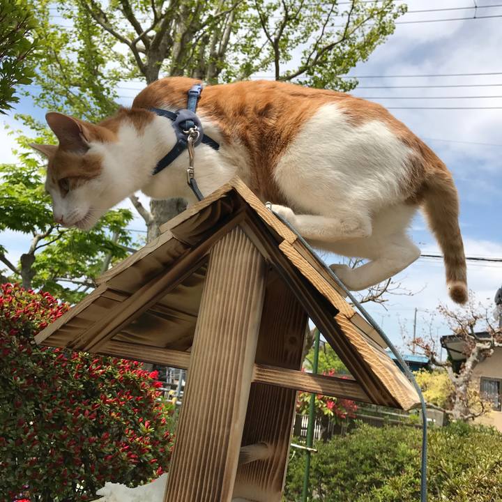 58e9d2cf 4309 40e7 8255 0c753658e1ee