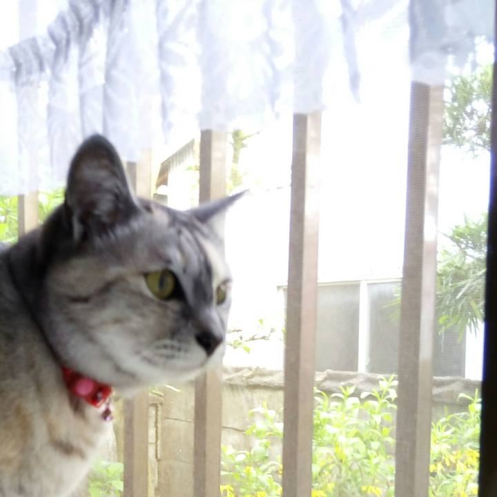 58e9eb50 534c 41de 98c4 b49aaf0fcebd