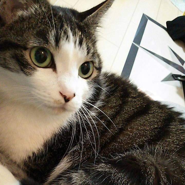 58ea7a12 6f04 4ee3 8054 47b52269511f