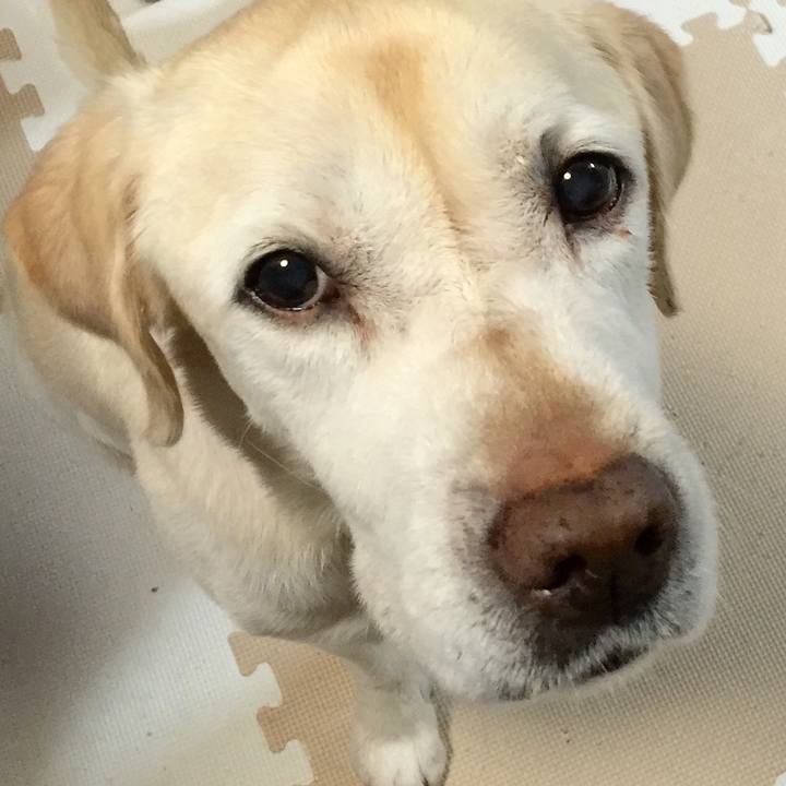 58eb2b06 9e88 4b35 9ccb c440bc1bc99a