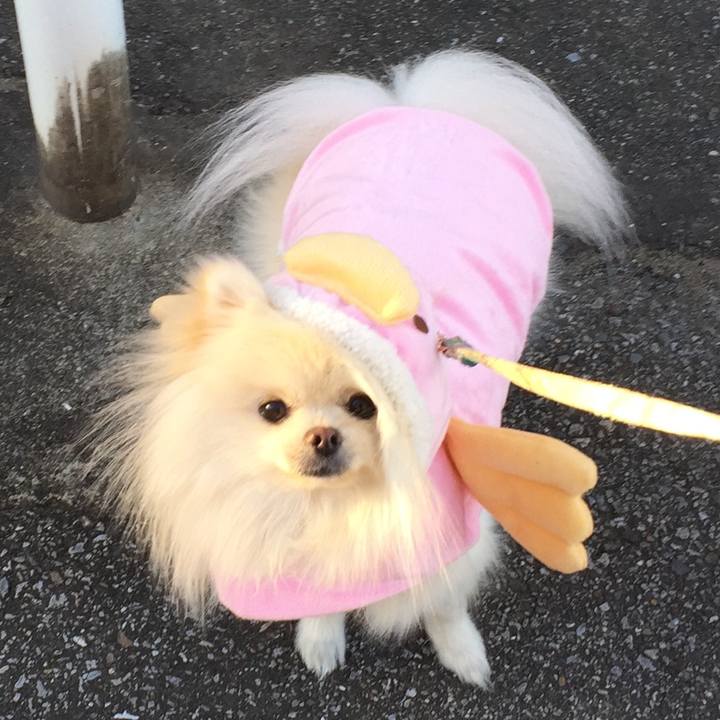 58eb445c 95f0 48c5 81e5 ee723a7166d5