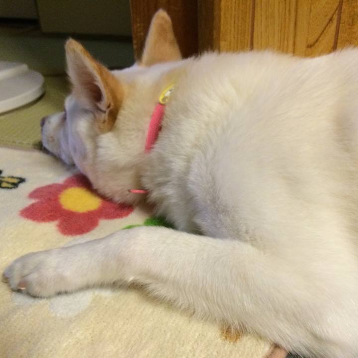 58eb87d3 a141 4371 84a0 4b876fc16b3b