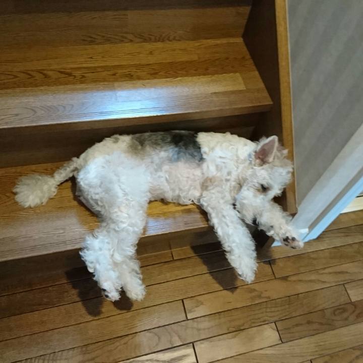 58ebe1f9 ad6f 4e1d 9be1 85ddd10c4ed6