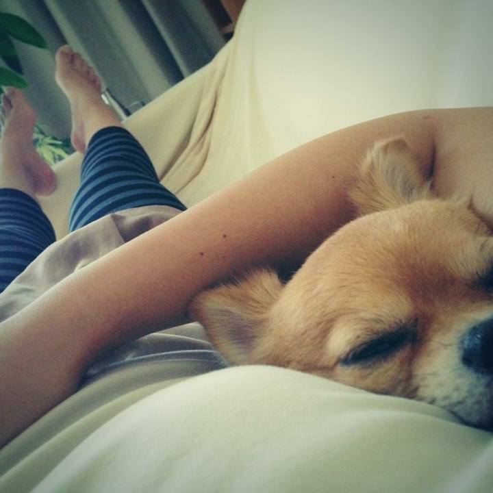 58ec9c4b 080b 413e b746 c9e0ad6a2da0