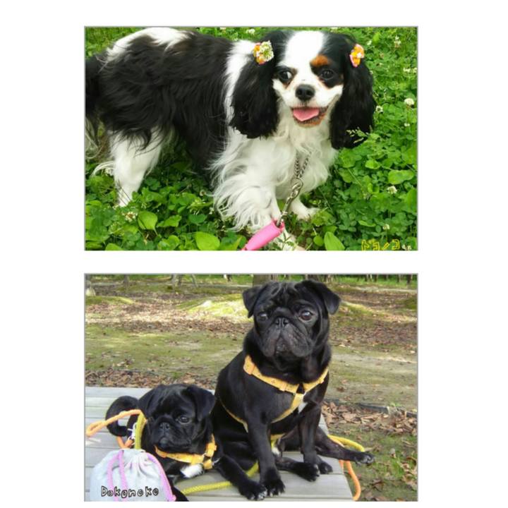 58ed862d c31e 4aa2 a452 9e2223e0d417