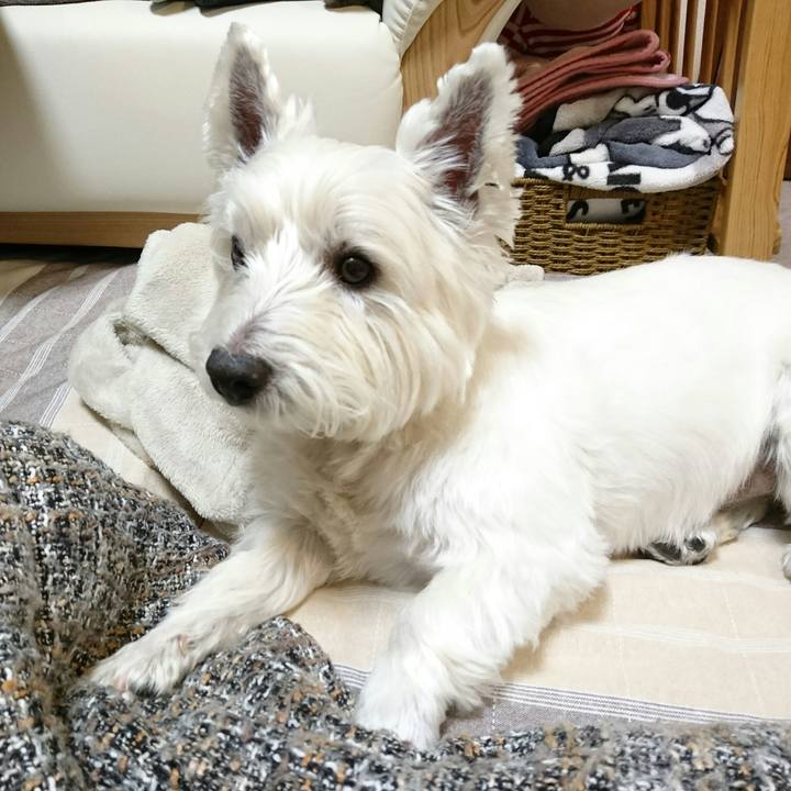 58ed922f 6f0f 4649 83dd 3707724b6758