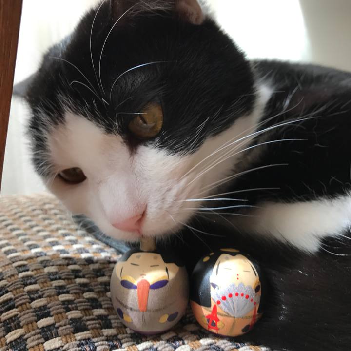 58edb9a8 b6eb 4ca9 b020 ae736268499f